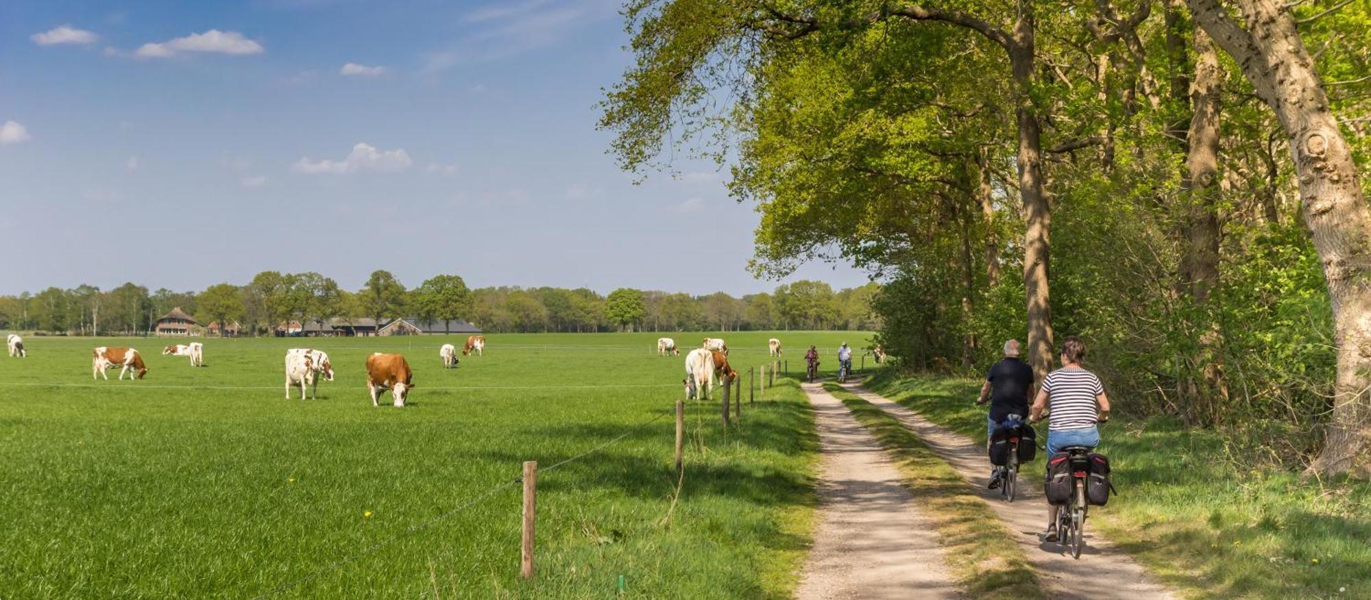 Hotel Bad Boekelo 4*